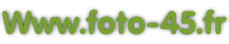 Www.foto-45.fr